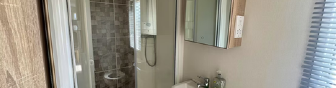 Shower Mixer V100 and V200