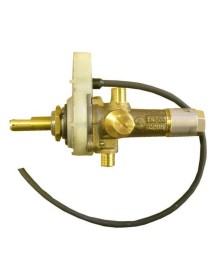 Widney Gas Valve and Ignition Unit GV002