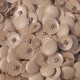 Plastic Pozi Tops Walnut Bag of 100