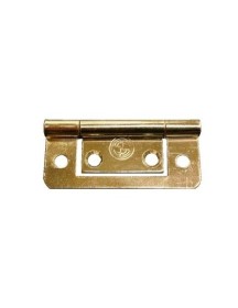 Brass 2" Flush Hinge