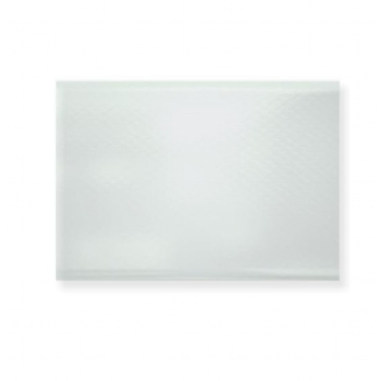 Inner Door Glass SSPA0257