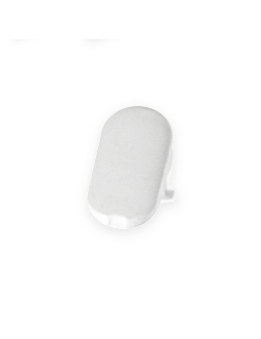 Screw Cover Cap for White Trojan Cockspur Window Handle