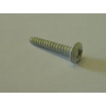 Cream Flange Head Panel Screw 6g x 1" Pack of 10