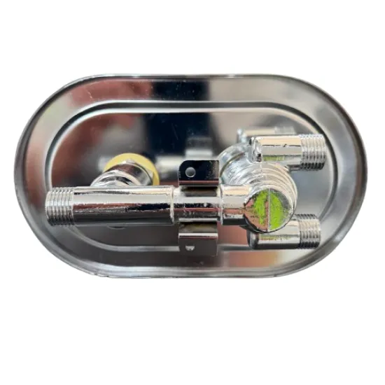 Concealed Thermostatic Mix Valve Chrome