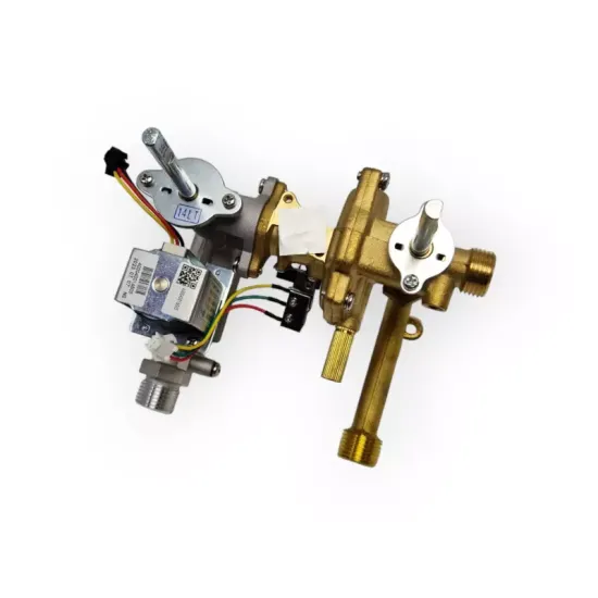 Forcali 6L Water Gas Module